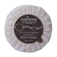 body soap web